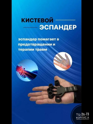 Кисть 21363344